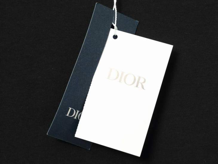 Dior T Shirts Short _SKUDiorS-XL2br253315806